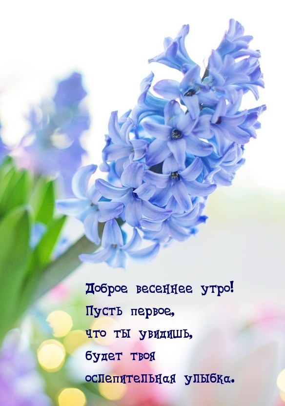 Доброе весеннее утро! Пусть первое, что ты увидишь, будет…