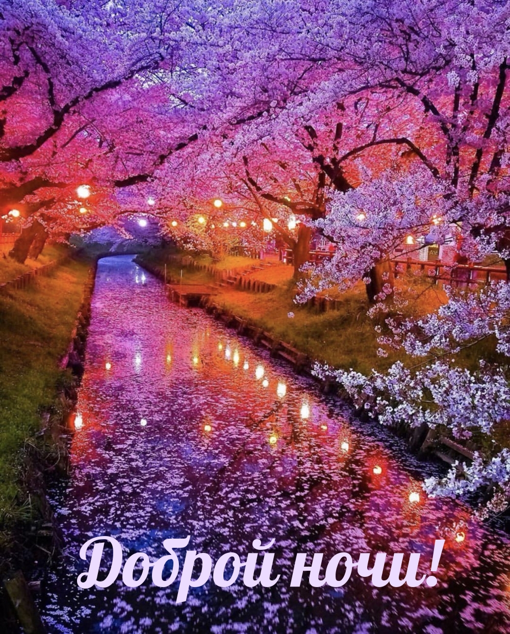 Доброй ночи!