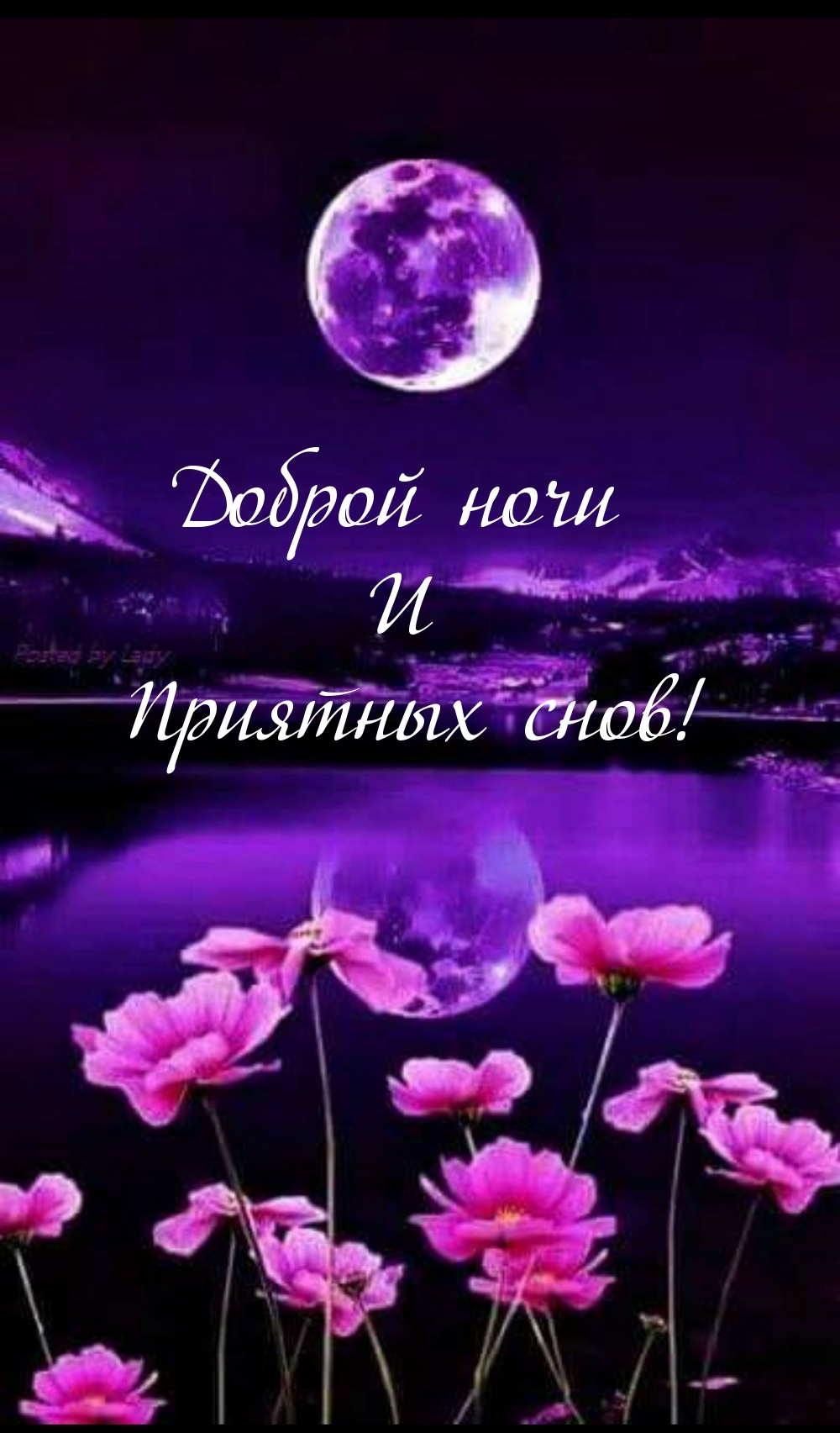 Доброй ночи И Приятных снов!
