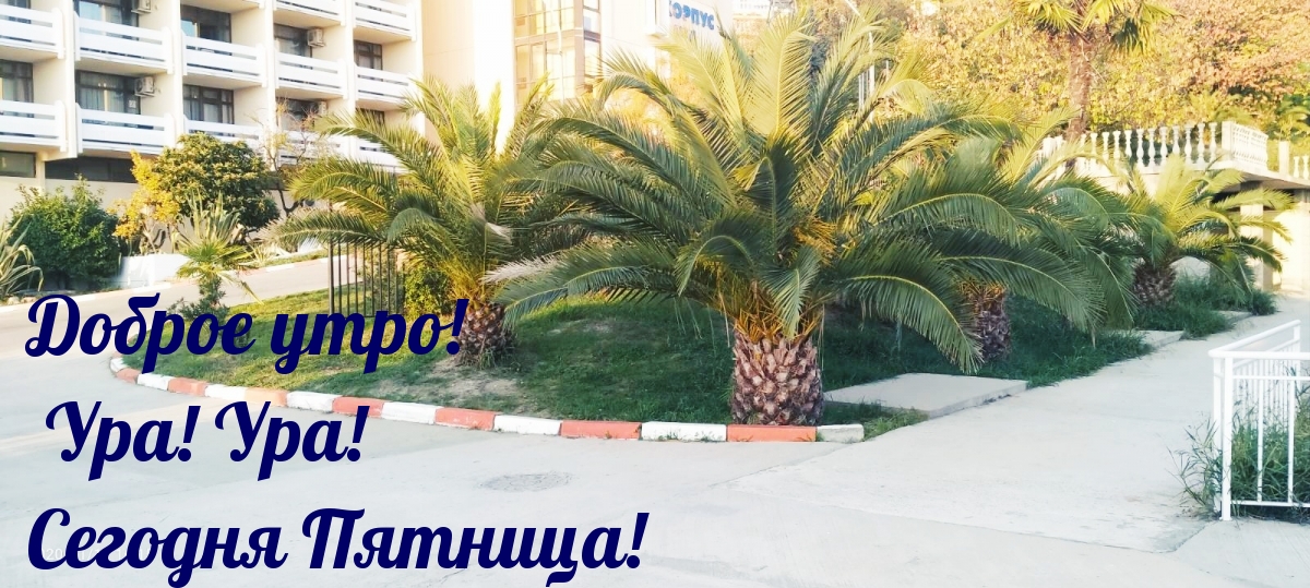 Доброе утро! Ура! Ура! Сегодня Пятница!