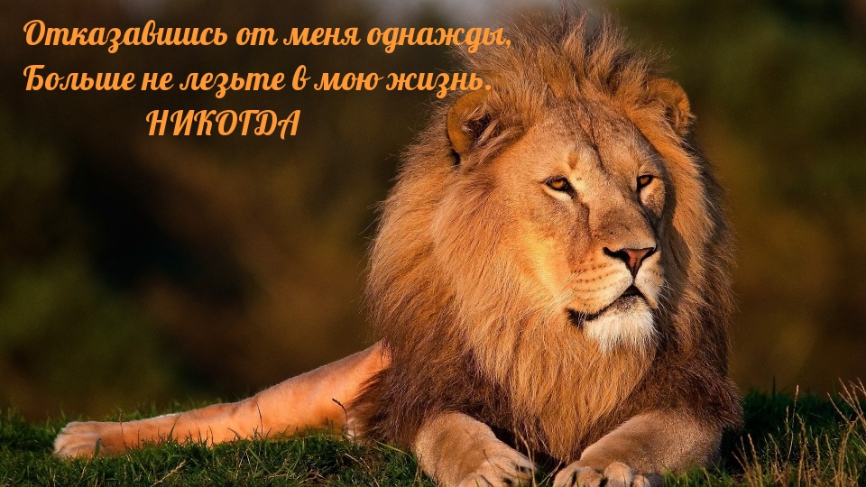 Отказавшись от меня однажды, больше не лезьте в мою жизнь.