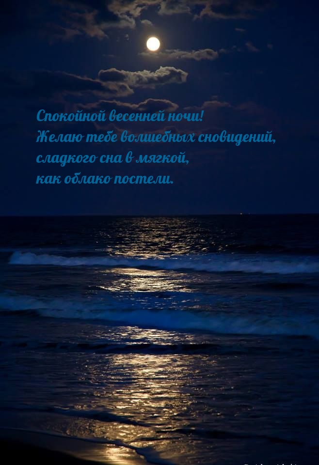 Спокойной весенней ночи!  Желаю тебе волшебных сновидений