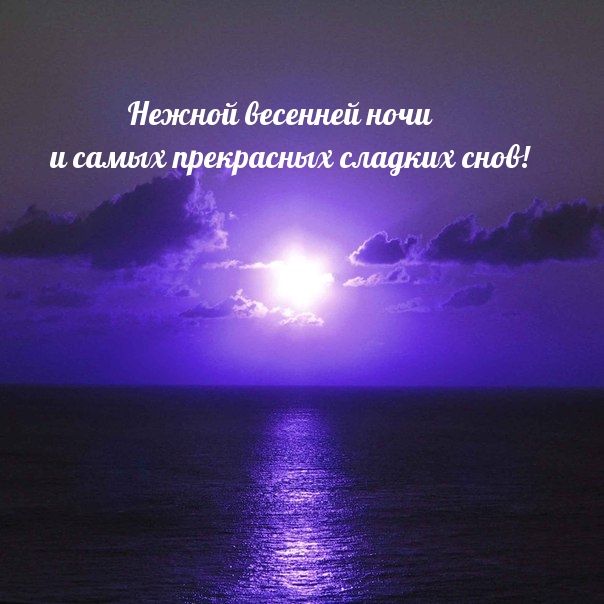 Нежной весенней ночи  и самых прекрасных сладких снов!