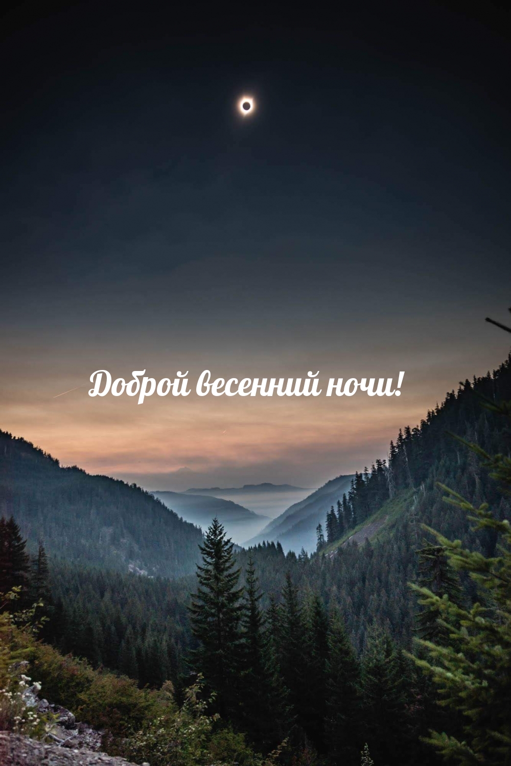 Доброй весенний ночи!
