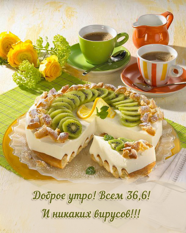 Доброе утро! Всем 36,6! И никаких вирусов!