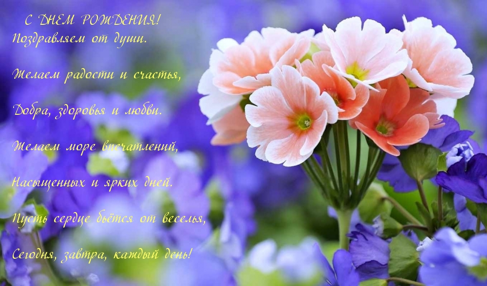 Картинки с надписями.  С днем рождения! Поздравляем от души..