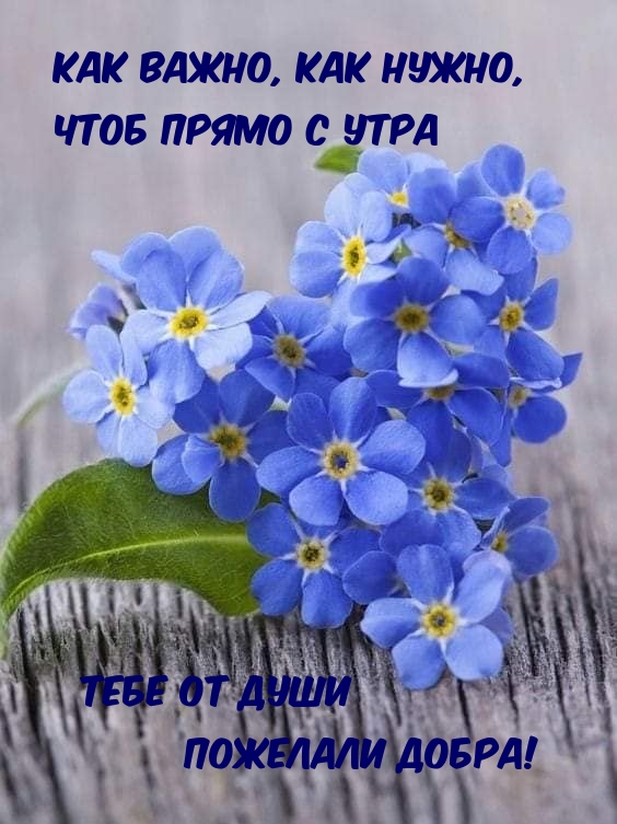 Как важно, как нужно, чтоб прямо с утра…