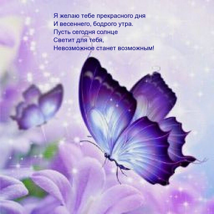 Я желаю тебе прекрасного дня и весеннего, бодрого утра.