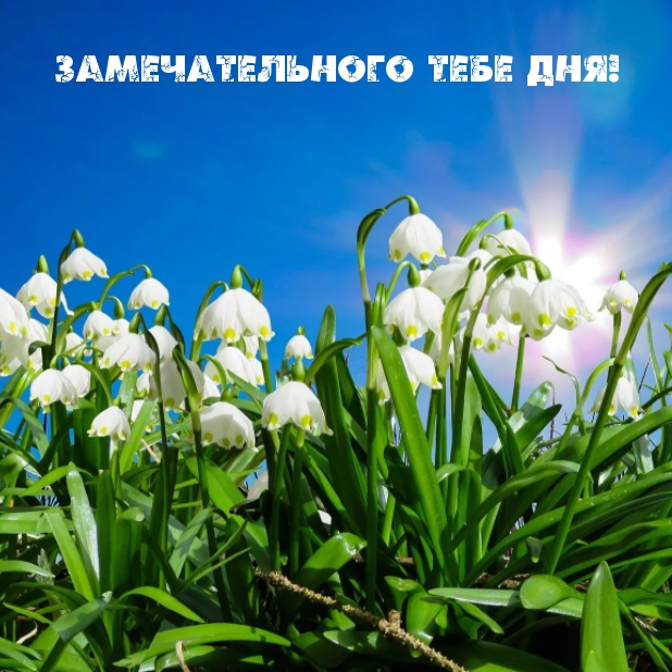 Замечательного тебе дня!