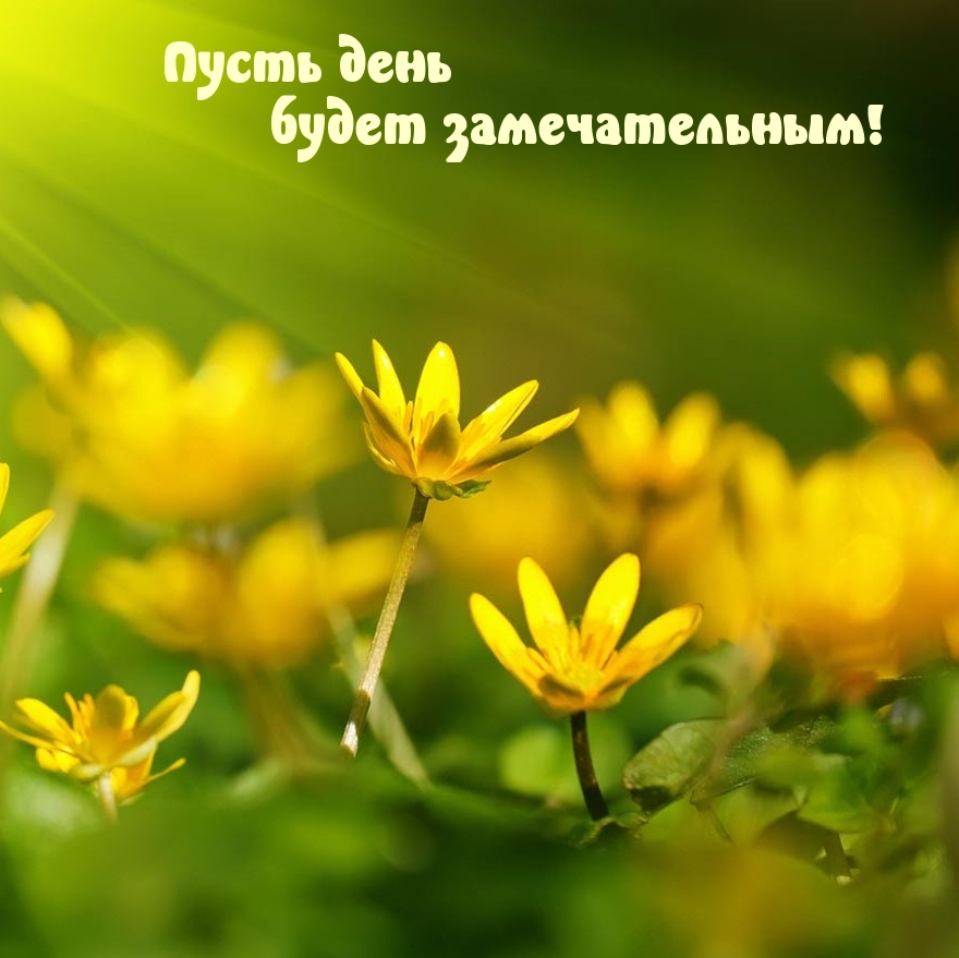 Пусть день будет замечательным!