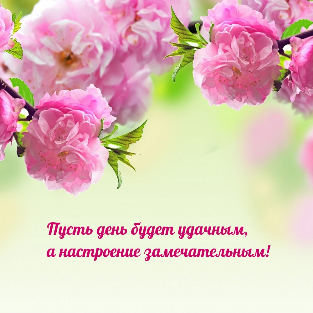 Пусть день будет удачным, а настроение замечательным!