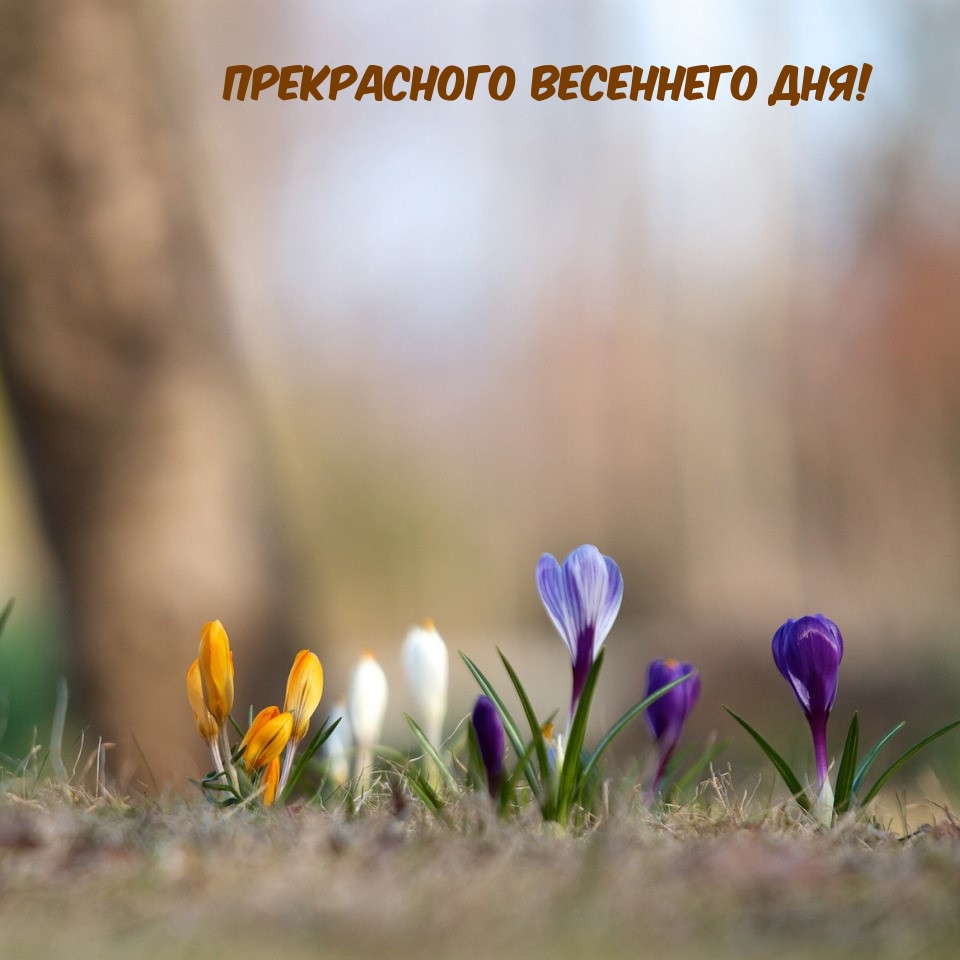 Прекрасного весеннего дня!