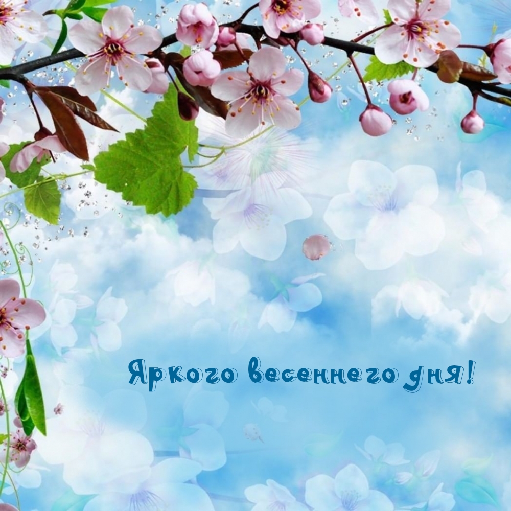 Яркого весеннего дня!