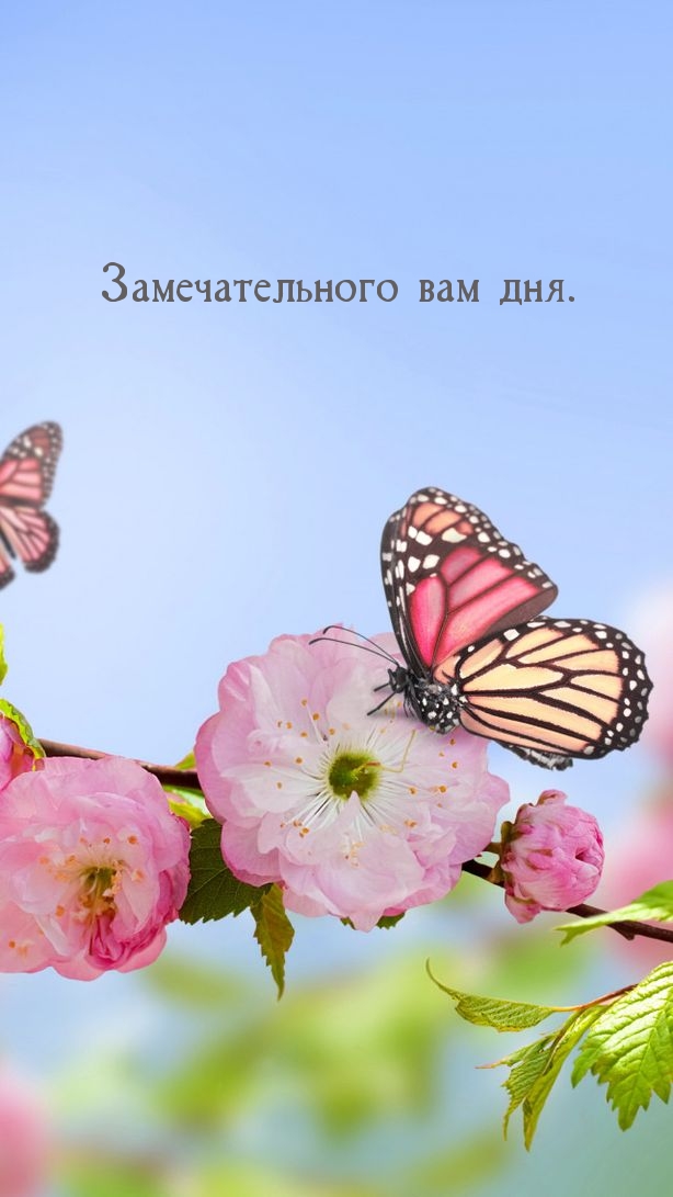 Замечательного вам дня.