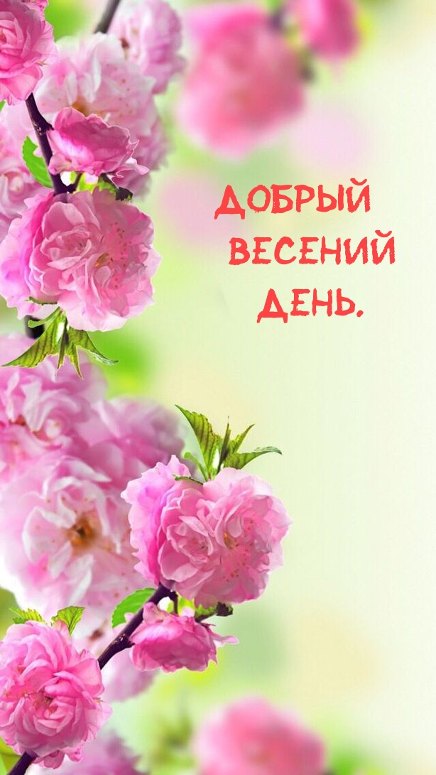 Добрый весений день.