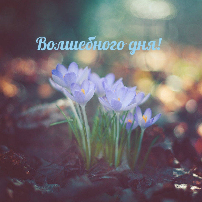Волшебного дня!