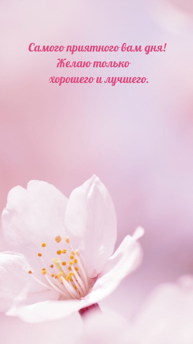 Самого приятного вам дня! Желаю только лучшего.