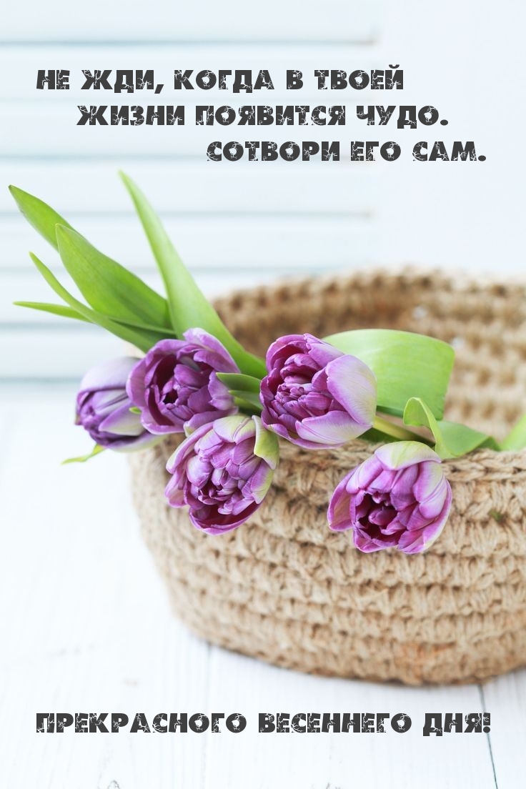 Прекрасного весеннего дня! Сотвори чудо сам.