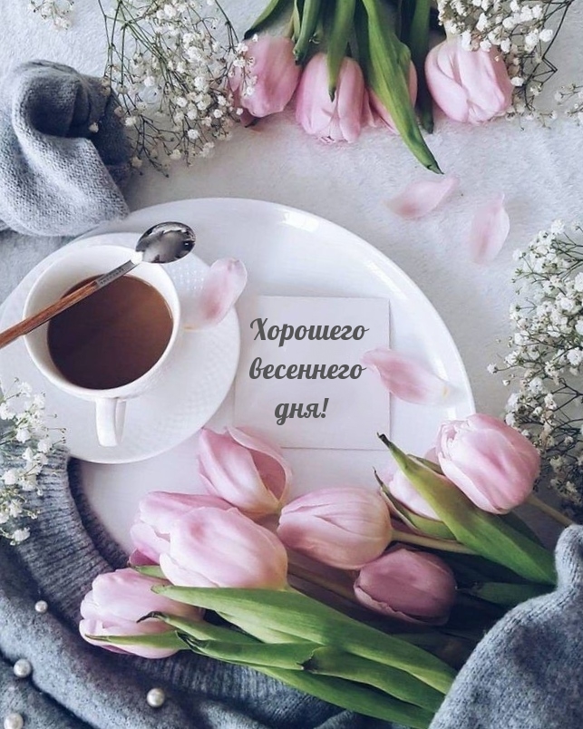Хорошего весеннего дня!