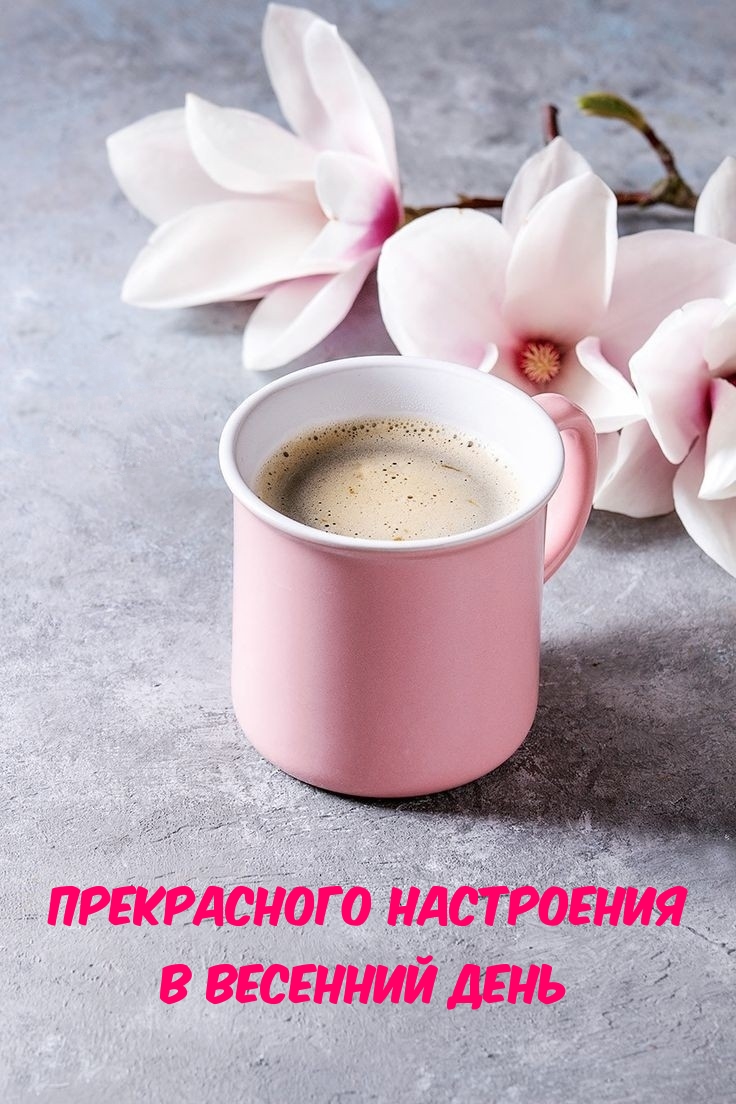 Картинки с надписями.  Прекрасного настроения в весенний день.