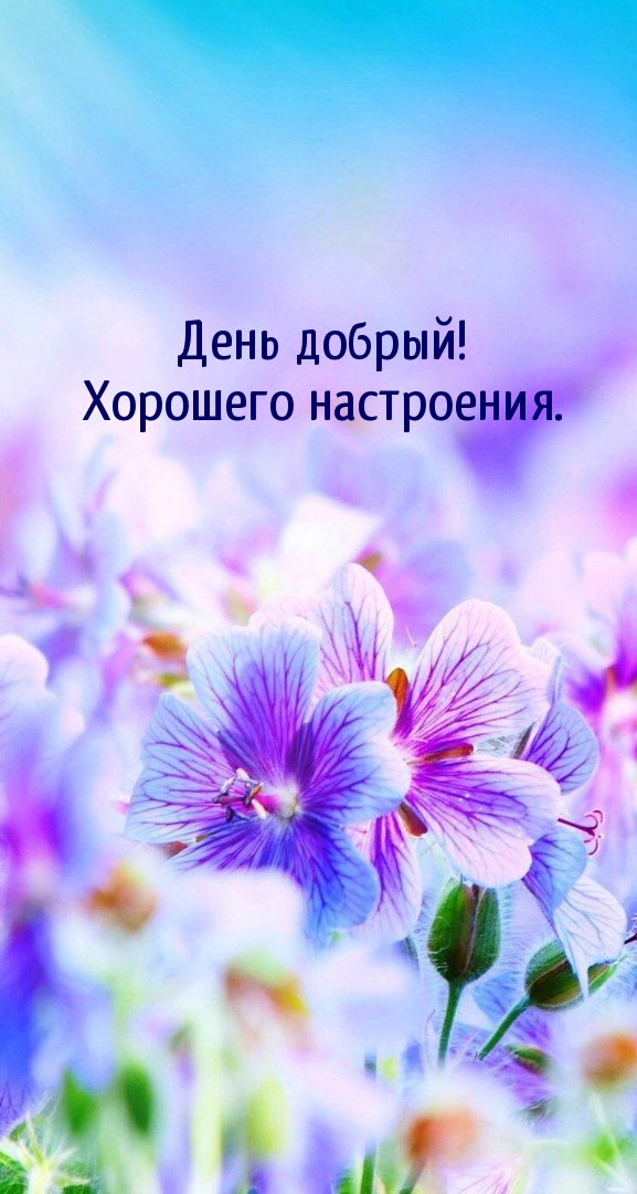 День добрый! Хорошего настроения.