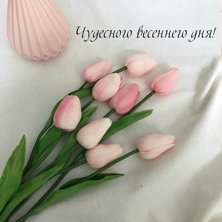 Чудесного весеннего дня!