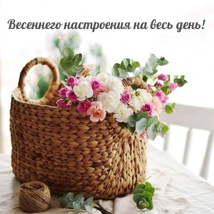 Весеннего настроения на весь день!