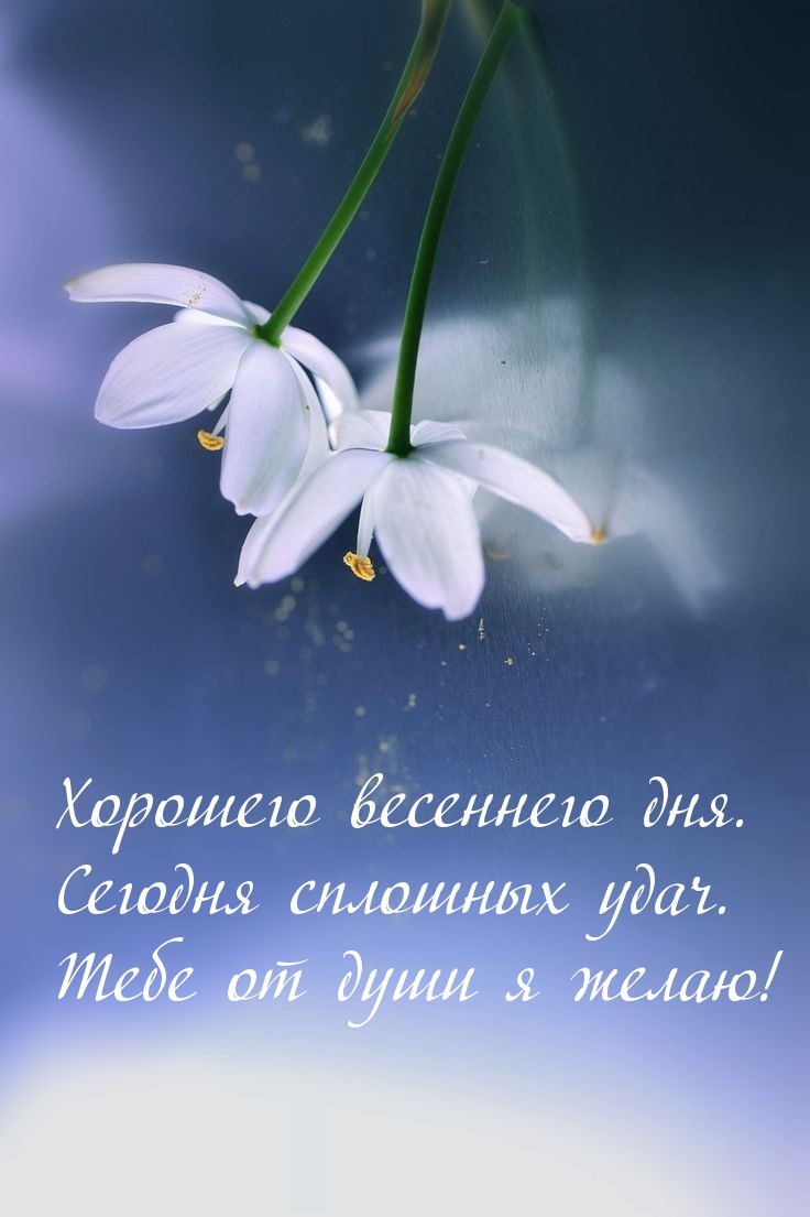 Хорошего весеннего дня. Сегодня сплошных удач