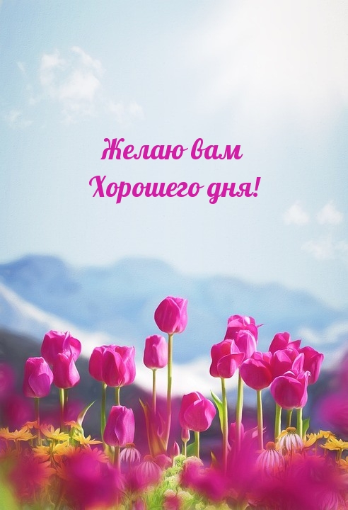 Желаю вам Хорошего дня!
