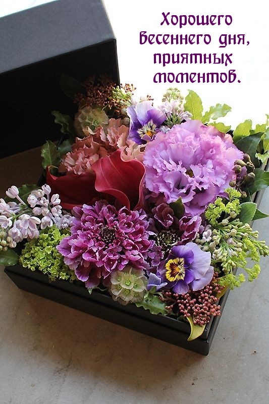 Хорошего весеннего дня, приятных моментов.