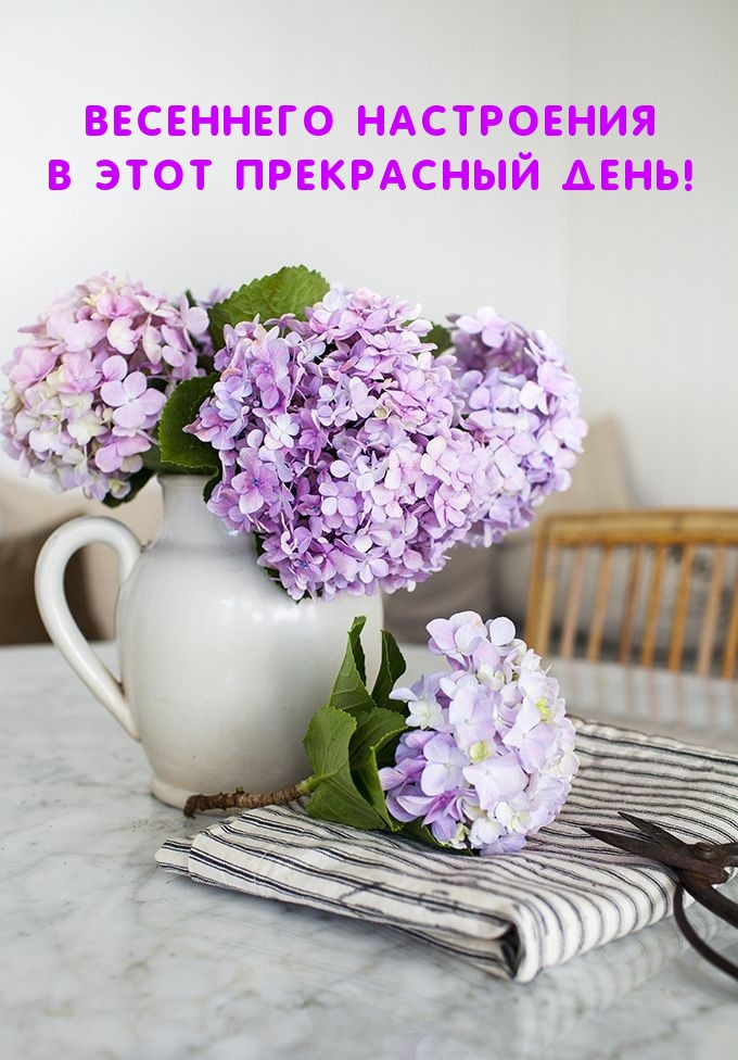 Весеннего настроения в этот прекрасный день!