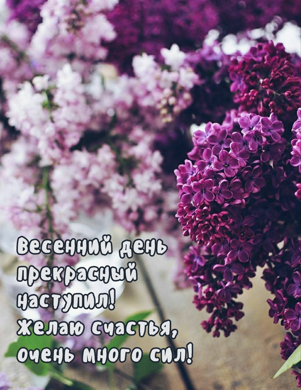 Весенний день прекрасный наступил!