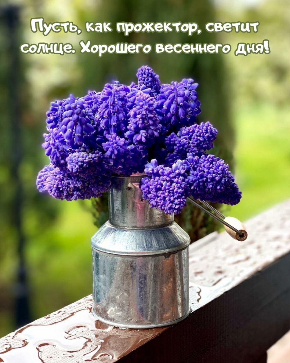 Пусть, как прожектор, светит солнце. Хорошего весеннего дня!