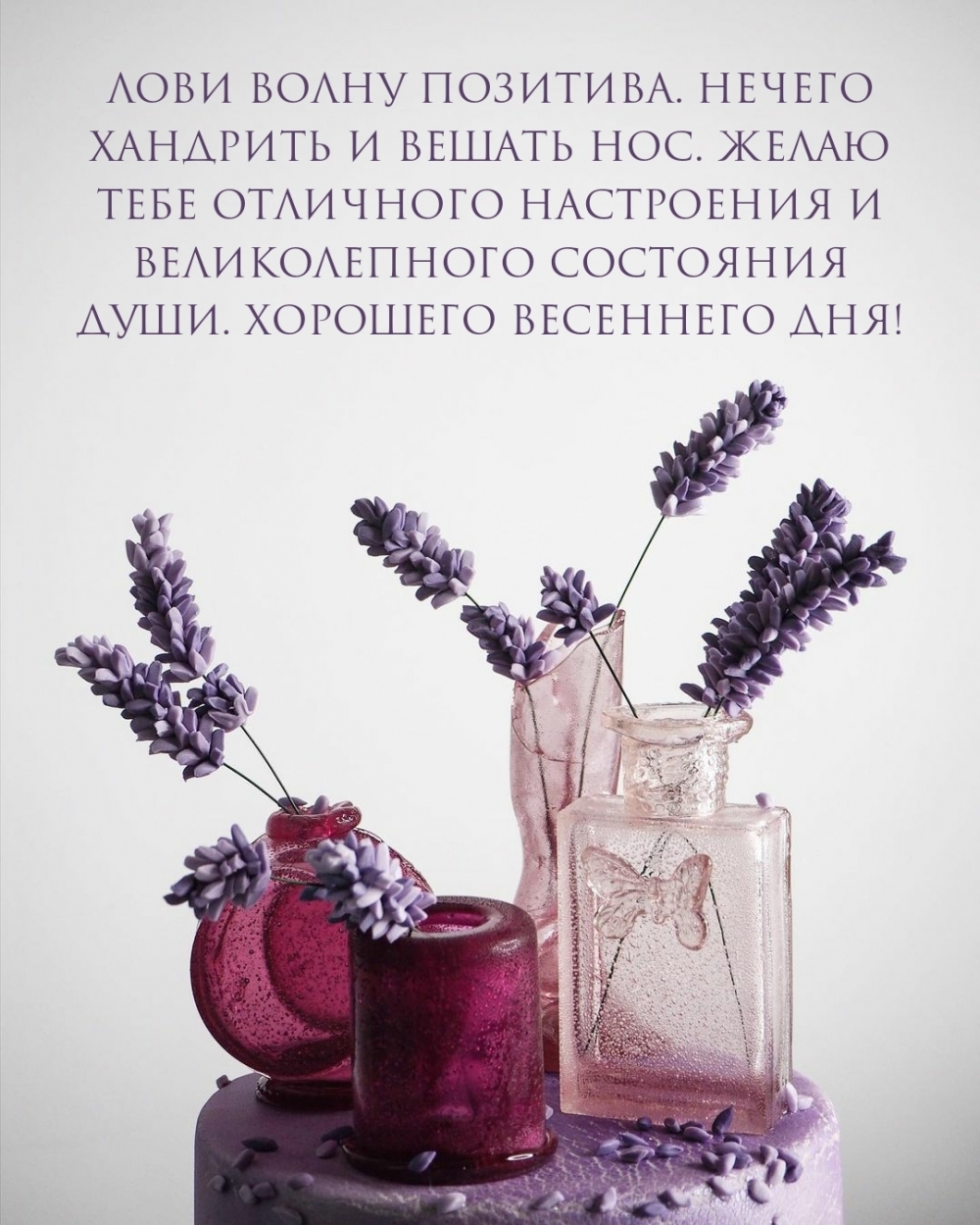 Картинки с надписями.  Великолепного состояния души! Хорошего весеннего дня!.