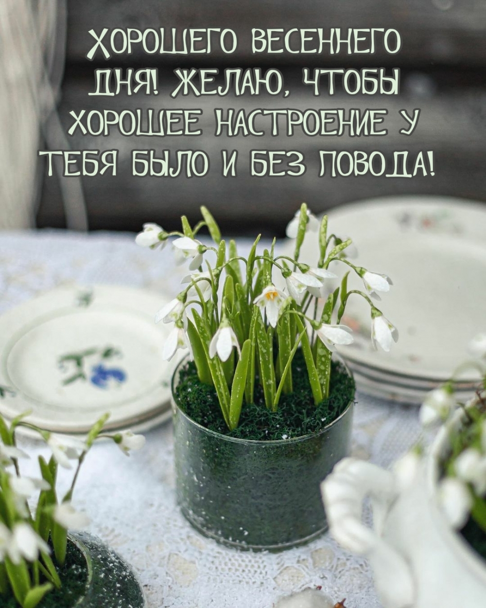 Хорошего весеннего дня! Желаю хорошего настроения без повода!