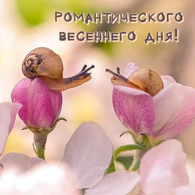 Картинки с надписями.  Романтического весеннего дня!.