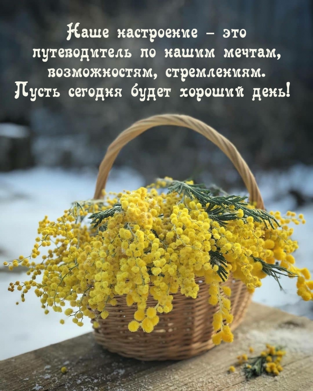 Пусть сегодня будет хороший день!