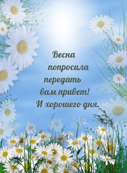 Весна попросила передать вам привет. Хорошего дня!