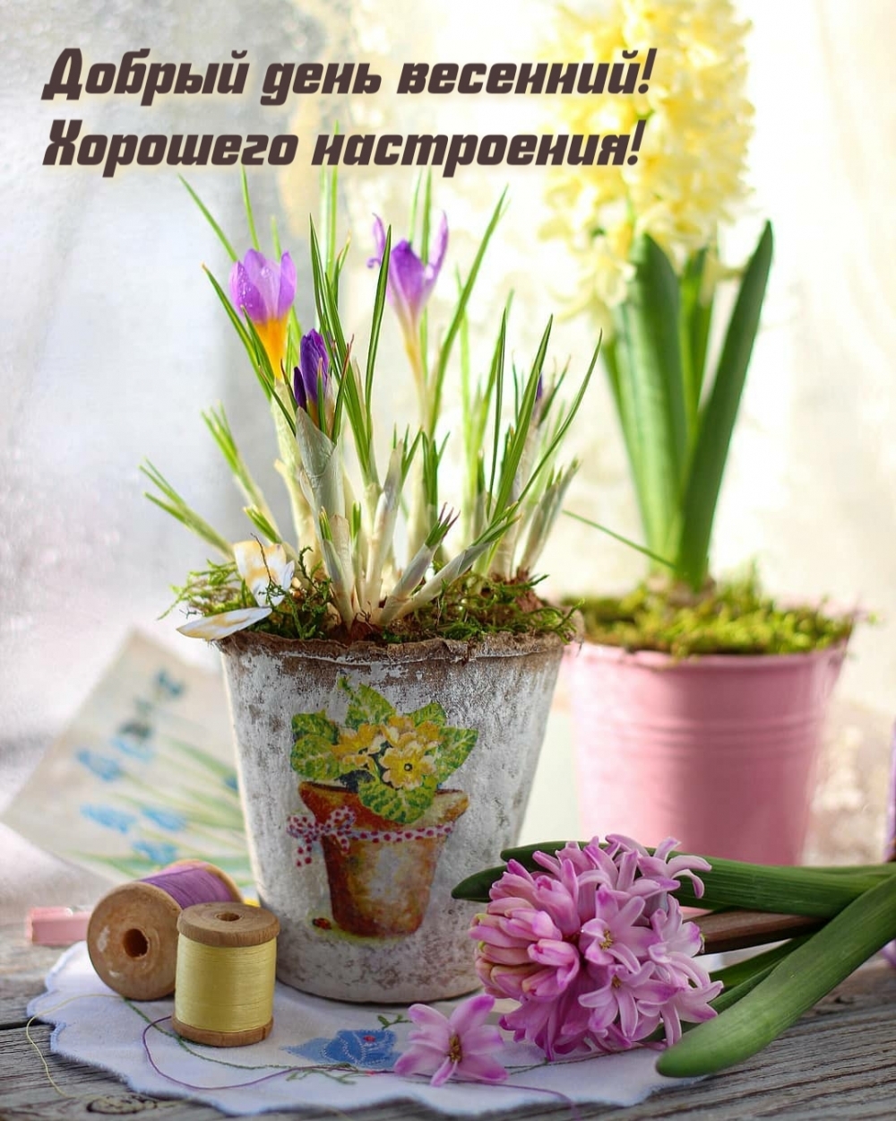 Добрый день весенний! Хорошего настроения!