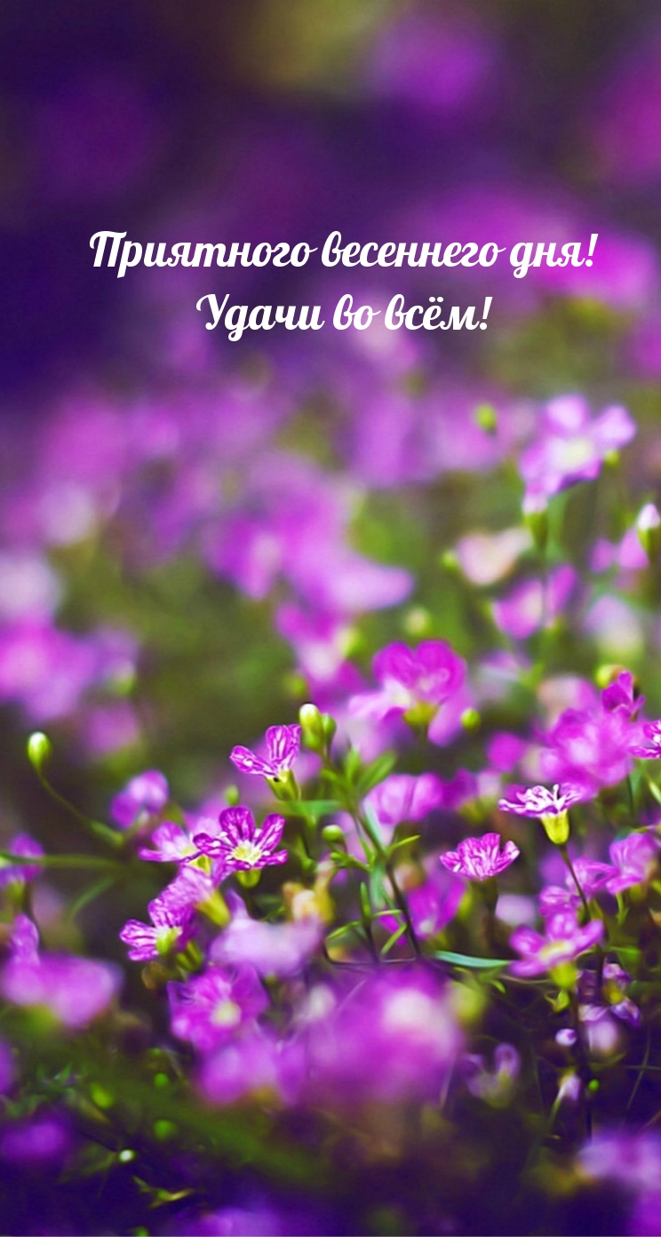 Приятного весеннего дня! Удачи во всём!