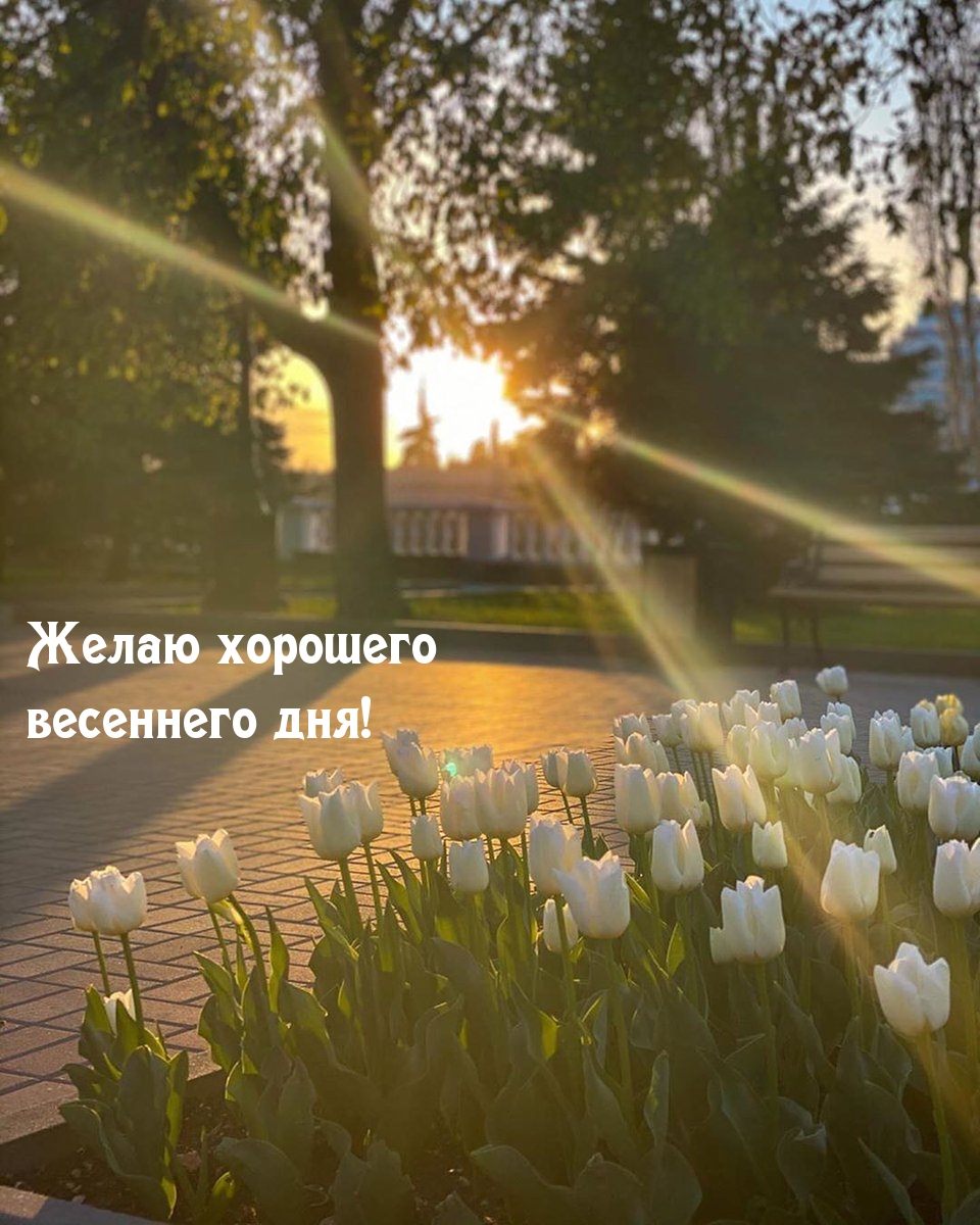 Желаю хорошего весеннего дня!