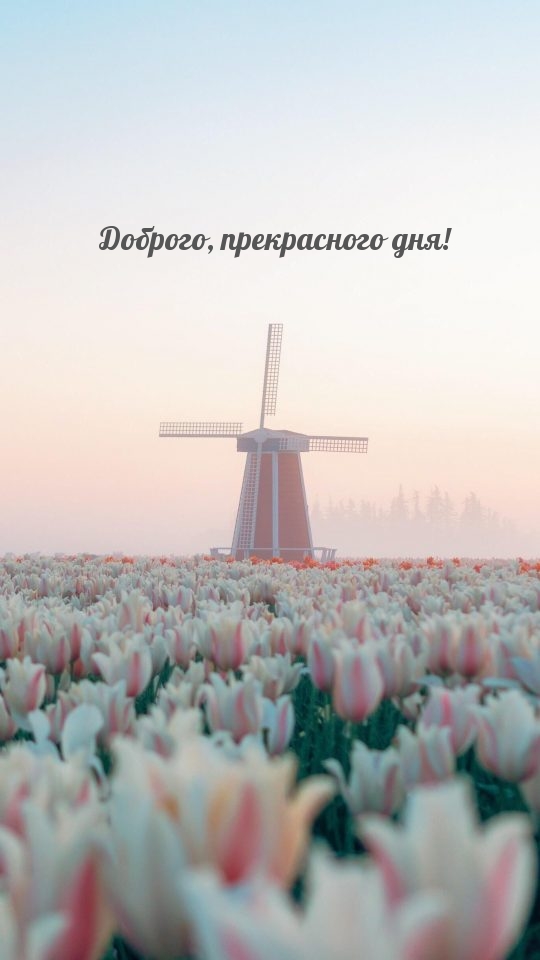 Доброго, прекраcного дня!