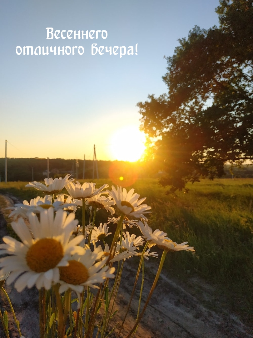 Весеннего отличного вечера!
