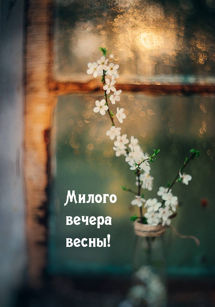 Милого вечера весны!