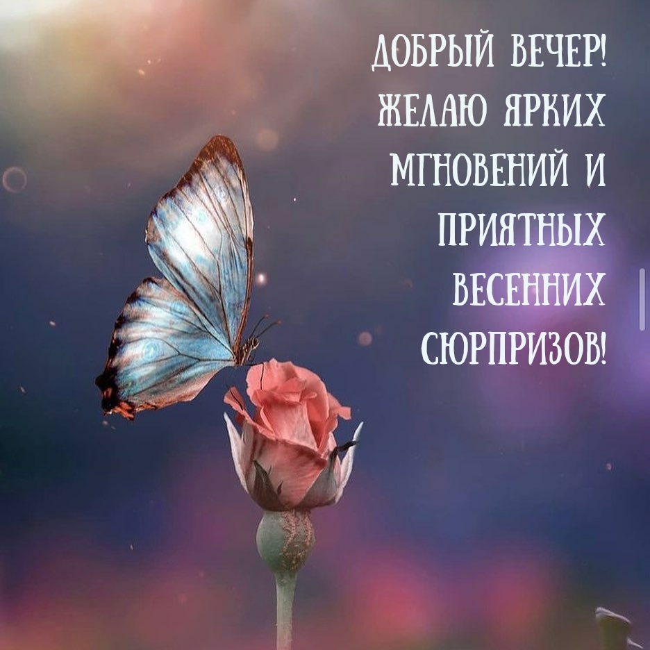 Добрый вечер! Желаю ярких мгновений и приятных весенних сюрпризов!
