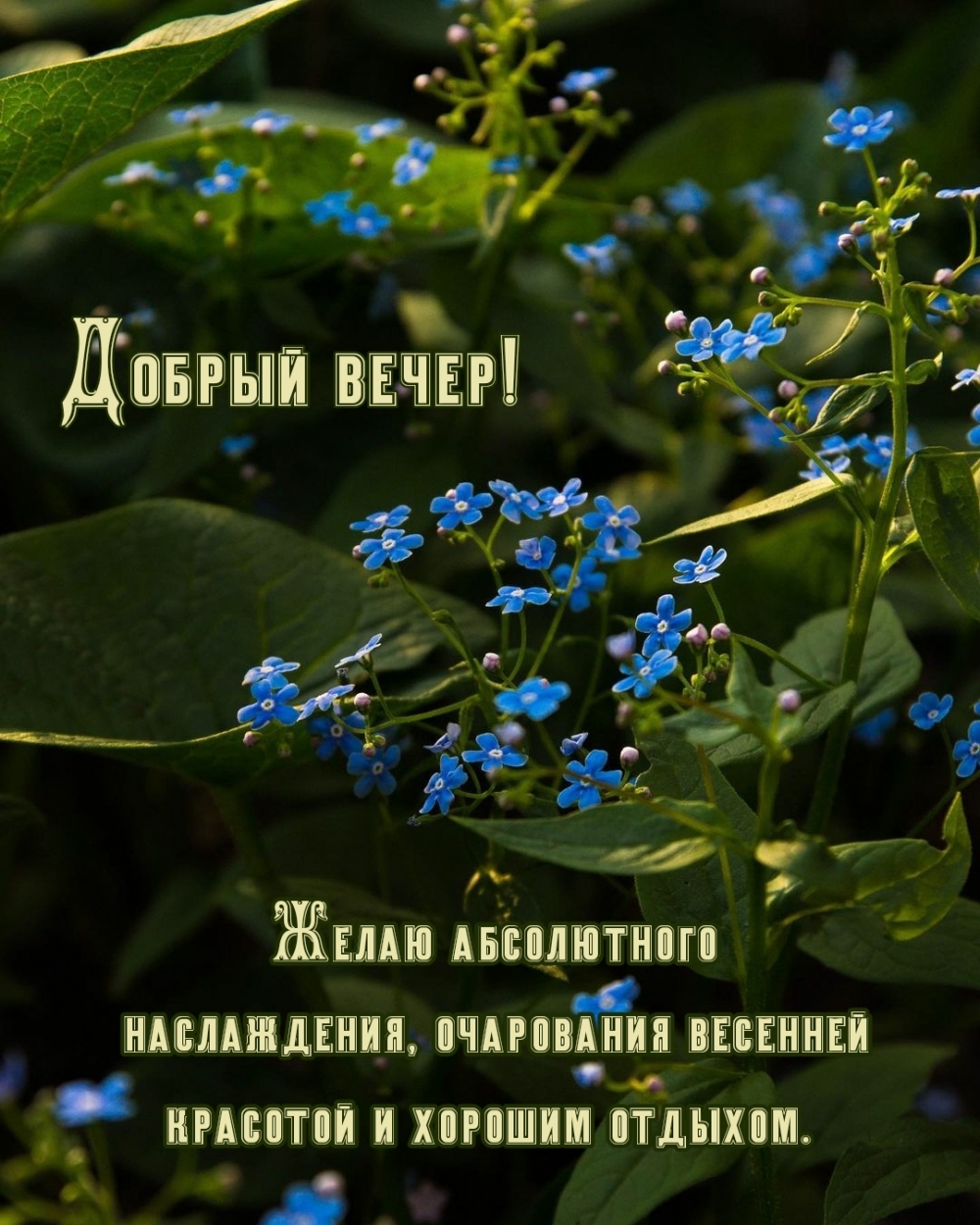 Доброго вечера! Желаю абсолютного наслаждения