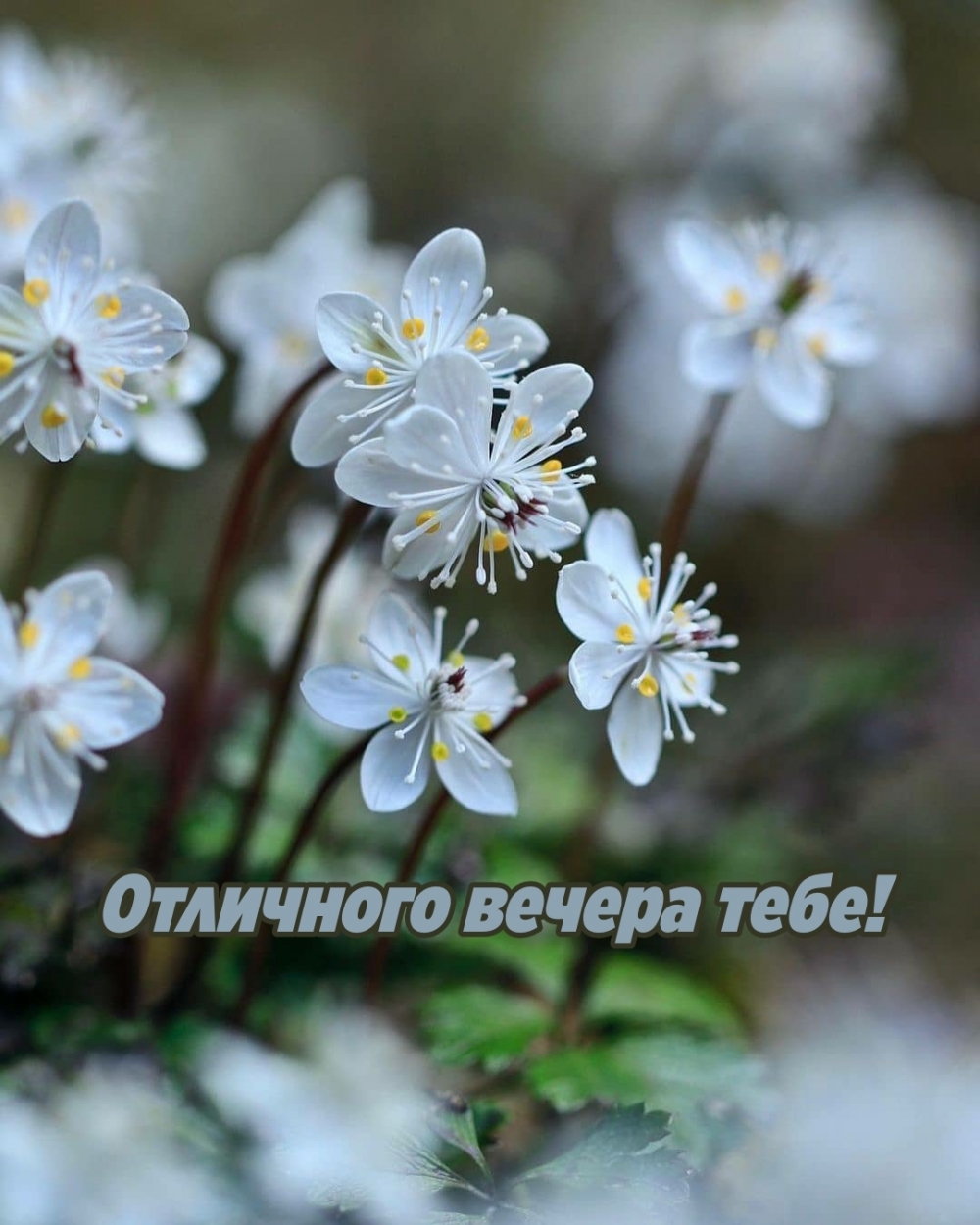 Отличного вечера тебе!