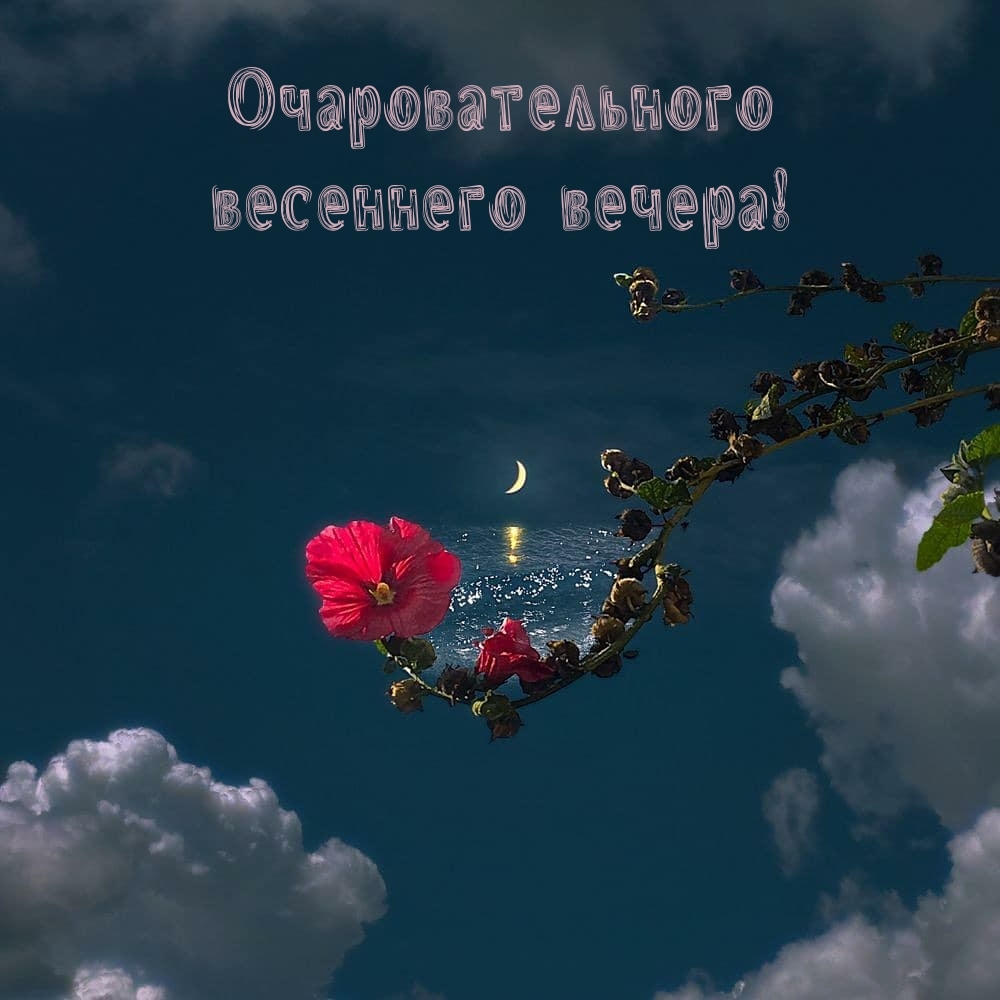 Очаровательного весеннего вечера!