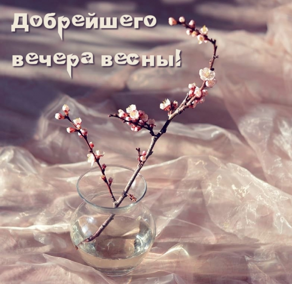 Добрейшего вечера весны!