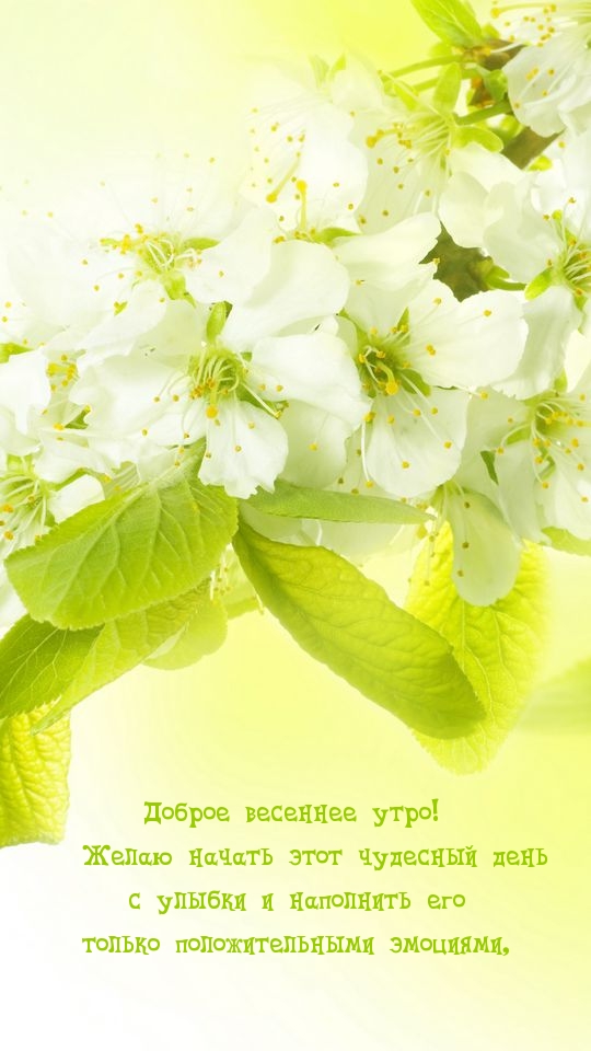 Доброе весеннее утро! Желаю начать чудесный день с улыбки и…